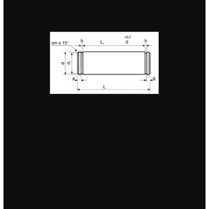 PERNO PER FORCELLA PNEUM. INOX PF12C-N