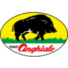 brand logo