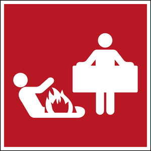 BRADY PICTOGRAM POLYESTER 250530
