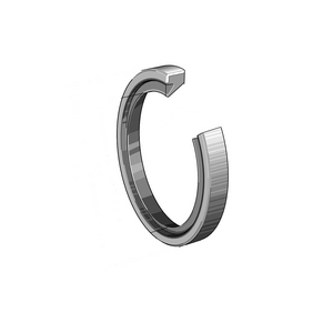 0853947180000-TENUTA RADIALE PER ALBERI GR10X14X3-C