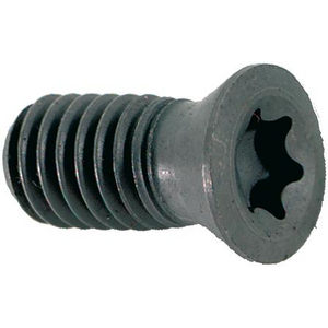 9229695087 Spannschraube M4x10 T15