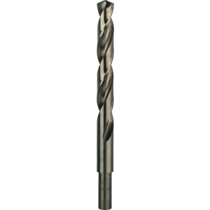 BOSCH BOOR PRO S-STEEL HSS-CO, 12,5X101X151 MM 2608577619