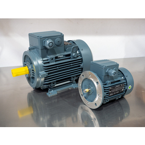 MOTEUR 45KW 1500T 225M B3 IE3 400/690V-3PH-50HZ FONTE IP55