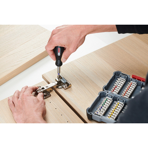 BOSCH SET BITS EN DOPPEN 44D 2607017732