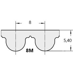 020430560456-CINGHIA RPP 1464 RPP8 50