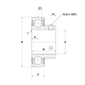 CUSCINETTI Y US.207.G2