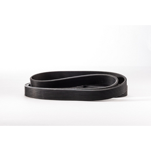 9465-20776 CINGHIA A NERVATURE PJ1428/16 562J16 MICROV