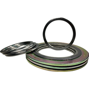 JOINT DN50 FST-FLEX SWCI ACDX EP4,5/3,2 PN10/40 SPIR 316+GRA