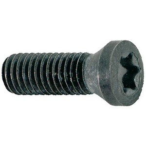 9229695054 Spannschraube M3,5x10 T15