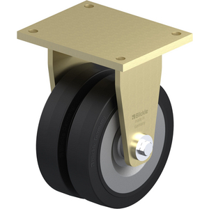 ROULETTE FIXE 1400KG D.250MM AC BAND.CAOUT 2X60MM MOY BILLE