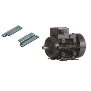 898154-RICAMBIO PIEDI (COPPIA) PER MOTORE H200 (GHISA) (3 GEN.) (898154)