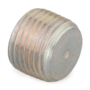 HEXAGON SOCKET PLUG 1/4 HHP-SS