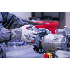 UTENSILI E PRODOTTI PER LA MANUTENZIONE, PROTEZIONE DELLE MANI 895948