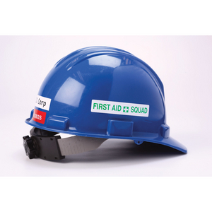 BRADY LINT B30-R10000-GN 118086 (ST=60M)