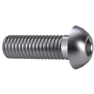 VIS MET 5X16 ZG BR TCBP EF CL10 ISO7380-1 7380A5016