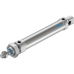 DSNU-25-100-PPV-A Standard cylinder