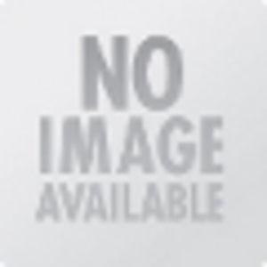 ACTION SLAGDOP 3/8 X E14 TORX MGN DO6331N014