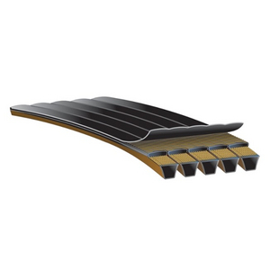 COURROIE SPBP 3800 16,3X13 PREDATOR