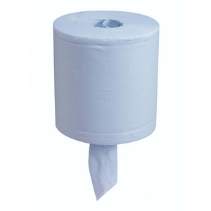 ESSUYEUR WYPALLL30 OUATE BLEU 2P 300 FORM.20,5X38CM(CART6BO)