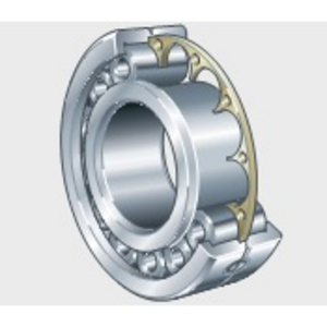 INA LSL 19 2330 TB/BR/C3 CYLINDRICAL ROLLER BEARING -