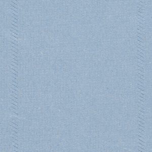 ESSUYEUR WYPALLL30 OUATE BLEU 2P 300 FORM.20,5X38CM(CART6BO)