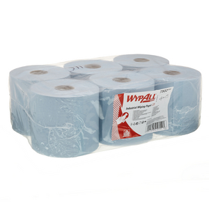 ESSUYEUR WYPALLL30 OUATE BLEU 2P 300 FORM.20,5X38CM(CART6BO)