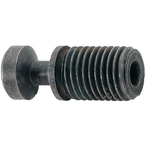 9229695063 Spannschraube f. S32S M8x21 T15