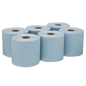 ESSUYEUR WYPALLL30 OUATE BLEU 2P 300 FORM.20,5X38CM(CART6BO)