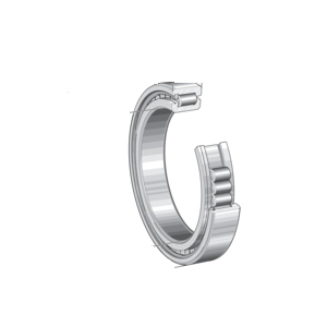 0779031610000-CUSCINETTO RADIALE A RULLI CILINDRICI SL182956-TB-BR