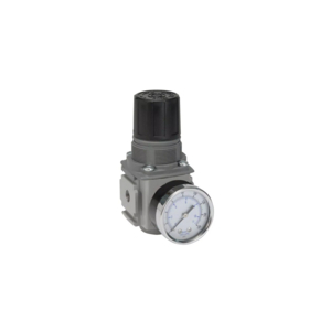 REGULATOR 8B NO GAU. 1/2BSP P32RB14BNNP