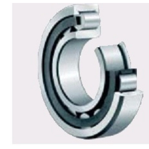 RLT A RLX CYLINDRIQUES NJ2310 C4 CAGE PA 50X110X40