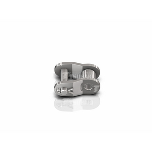 0231080004-CATENA DI TRASMISSIONE ALTRO BS-DIN RS08B-1 SS OL (P=1/2)