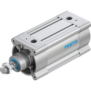 DSBC-100-100-PPVA-N3 Standard cylinder