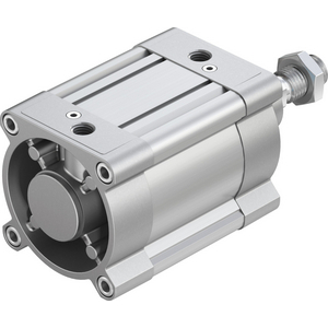 1755348-CILINDRO A NORME DSBC-125-300-PPVA-N3