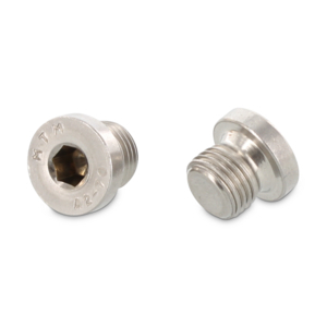 BOUCHON FIL 6P CREUX 1''DIN 908 INOX A2-50 090821