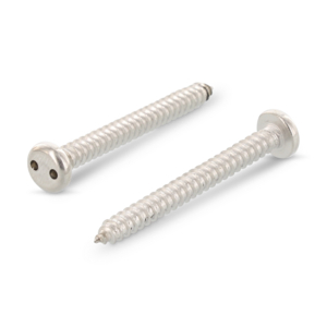 VIS SECU CYL 2 TROU 2,9X19 EF SP4 INOX A2-50 9100229 19