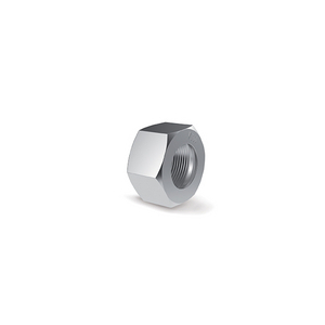 0004306100-DADO N L22 - M30X2 INOX 24-N-L22-SST-C61