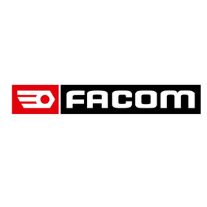 FACOM SHOULDER PINS 4T U.306-244J3 (SET=3 ST)