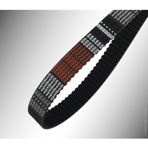 1082655-CINGHIA 2100 14M 170 HIPO OME-HIPO