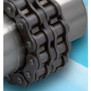 1620160222 CR16022-J, REPLACEMENT CHAIN.