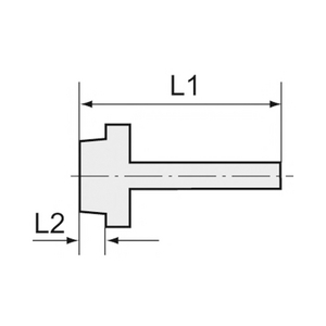 239 K-ES Einschraubschlauchtülle, G3/4 a., f.Schlauch LW 9, ES 1.4571