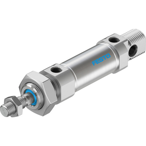 DSNU-25-300-PPS-A Standard cylinder