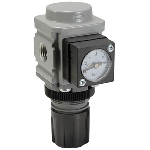 REGULATOR 8B NO GAU. 1/4BSP P31RB12BNNP