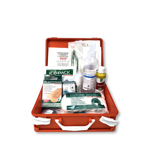 MEDIC 1 ALL. 2 CONTENUTO BASE FINO A 2 LAVORATORI CPS513