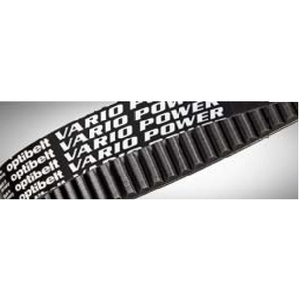 CINGHIA 22X8 X 610 VP