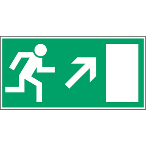 BRADY PICTOGRAM POLYESTER 227693