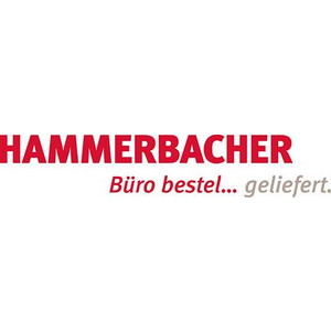 3610002910 Rollcontainer 428x580x590 mit 3 Schüben Buche