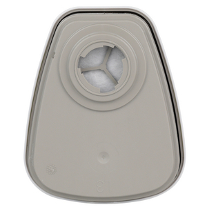 6095 6095 A2P3R Gas- und Kombifilter