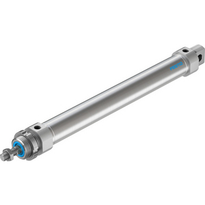 DSNU-32-250-PPS-A Round cylinder