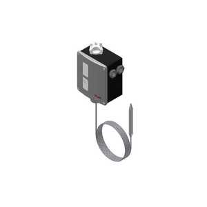 RT124 THERMOSTAT M/15 017-523166